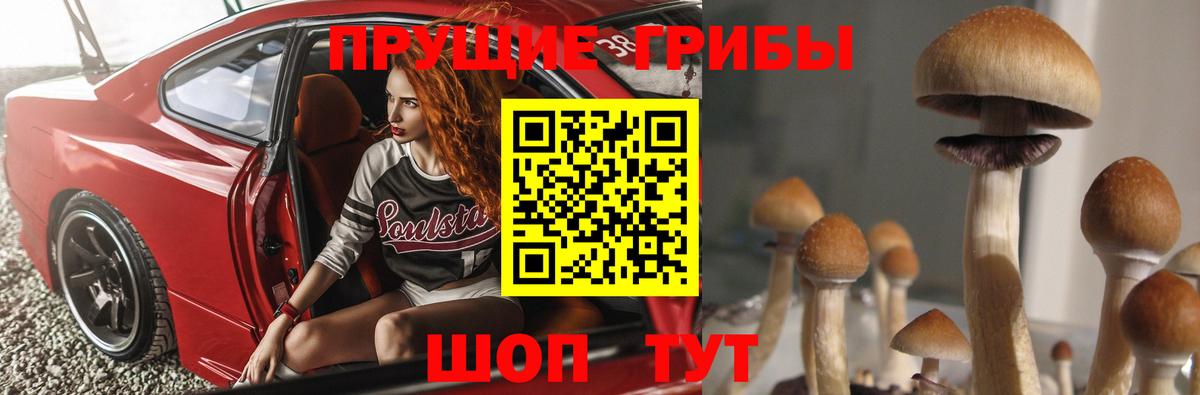 Галлюциногенные грибы ЛСД  хочу   Краснодар  Вход с VPN 